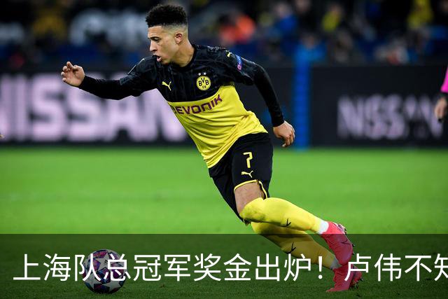 上海队总冠军奖金出炉！卢伟不知道怎么分，张镇麟和王哲林谁多