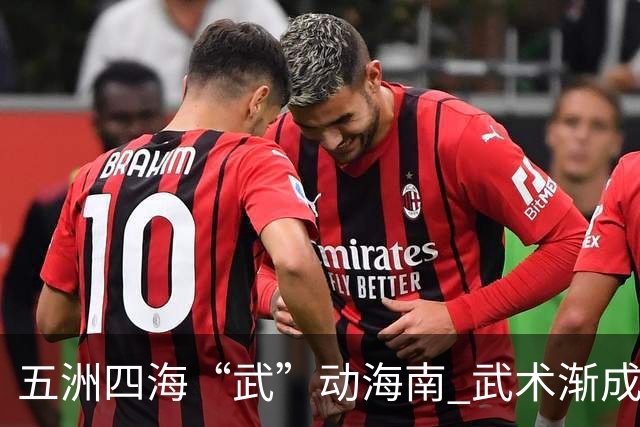 五洲四海“武”动海南 武术渐成世界语言