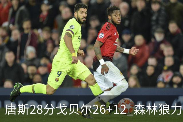 唐斯28分戈贝尔26+12 森林狼力克黄蜂4连胜