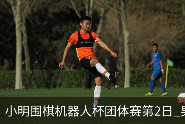 小明围棋机器人杯团体赛第2日 男子乙组北京上海领跑