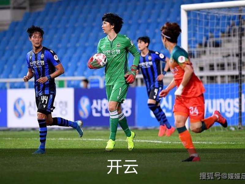 开云概况